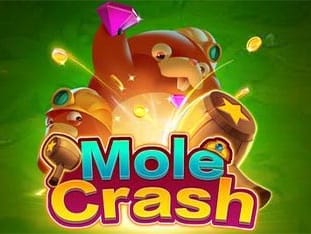 Mole Crash game cover